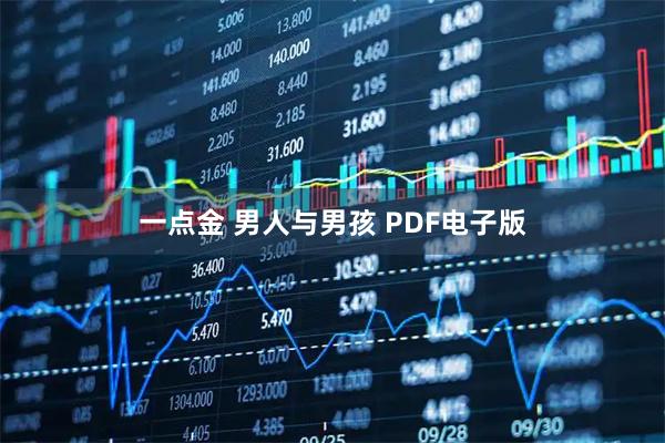 一点金 男人与男孩 PDF电子版