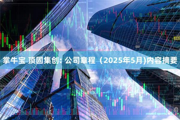 掌牛宝 顶固集创: 公司章程（2025年5月)内容摘要